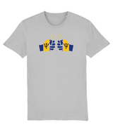 We Run Tings, Barbados, Men's, Organic Ring Spun Cotton T-Shirt, Centre Logo